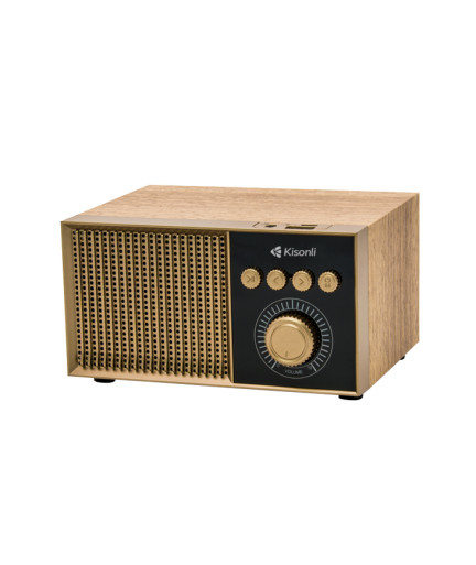 Тонколона Kisonli G10, Bluetooth, USB, SD, RGB, AUX, FM, Различни цветове - 22308